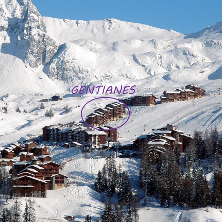 Beau duplex calme, animaux admis, au pied des pistes - FR-1-455-232 - Appartamento - 17