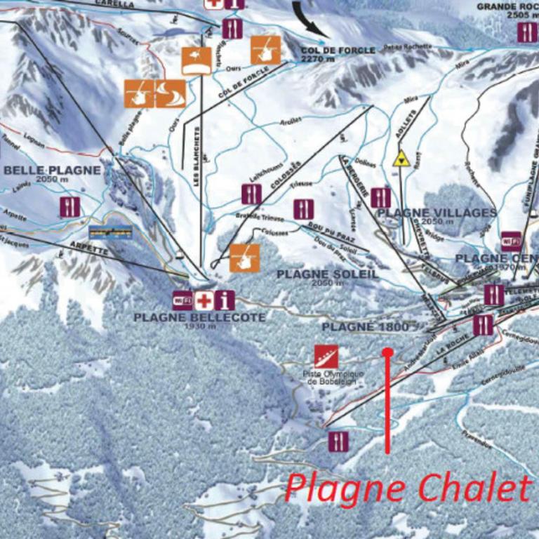 Chalet 12 pers. à La Plagne avec sauna, jacuzzi et animaux admis - FR-1-455-238 - Chalet - 17