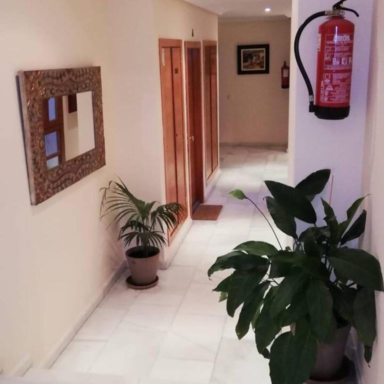 La Dama del Jardín del Nuncio - Apartamento Dúplex - 2