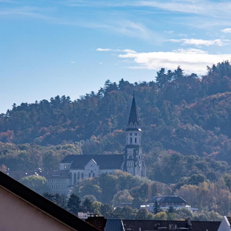 Le Cygne - vue montagne - proche du centre ville - Apartamento de 2 dormitorios - 4