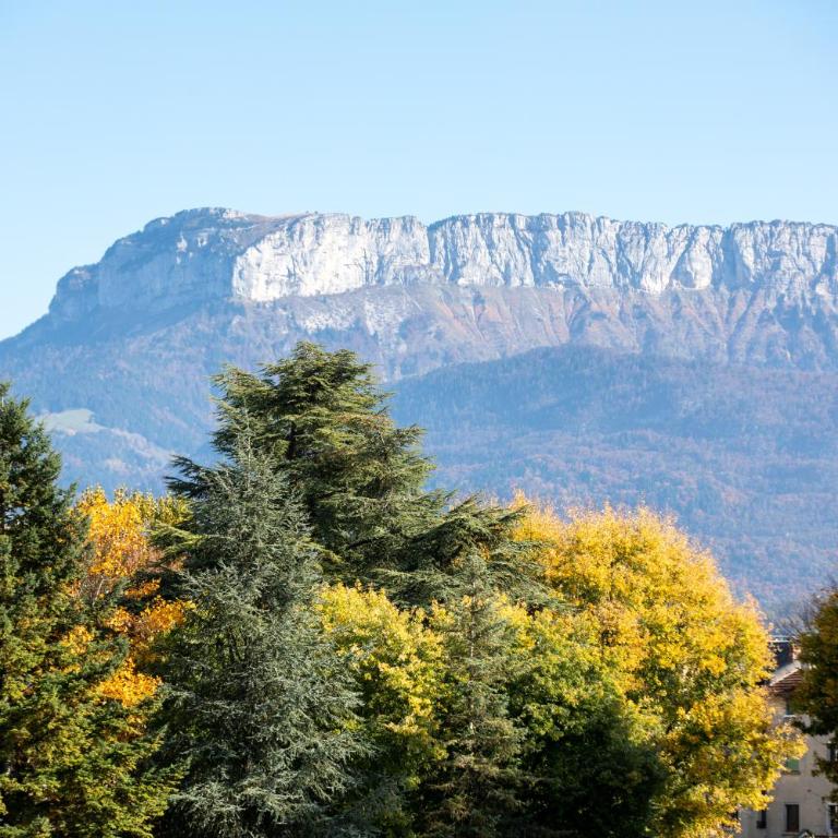 Le Cygne - vue montagne - proche du centre ville - Apartamento de 2 dormitorios - 31