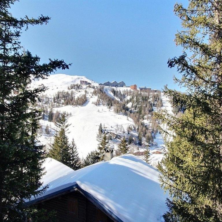 Chalet pour 15 pers., sauna & jacuzzi à Plagne 1800 - FR-1-455-159 - Chalé (15 adultos) - 10