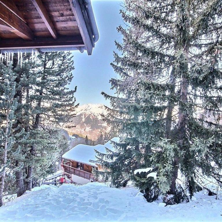 Chalet pour 15 pers., sauna & jacuzzi à Plagne 1800 - FR-1-455-159 - Chalé (15 adultos) - 12