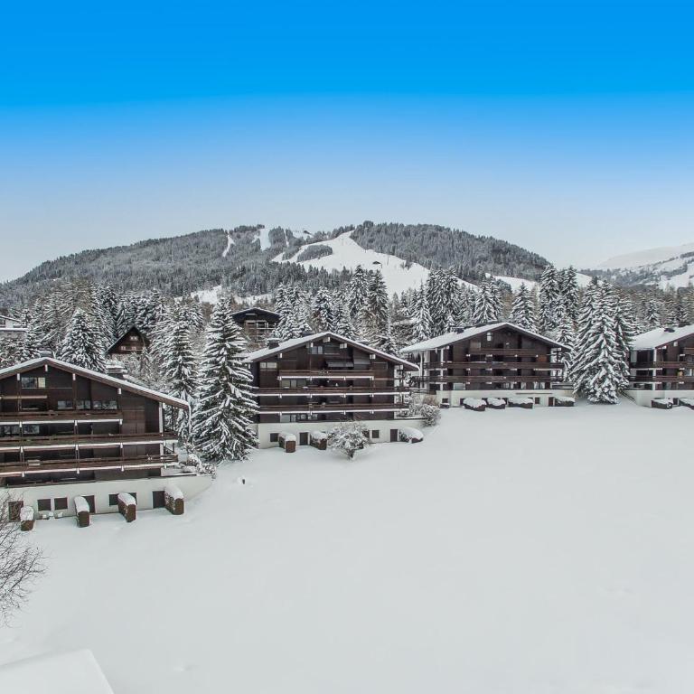 Charmant appartement 2 chambres avec cheminée et parking à Megève - FR-1-453-254 - Appartement - 4