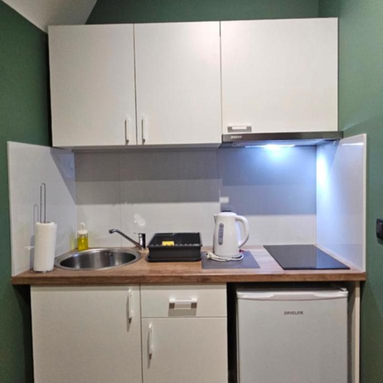 Aleksei Apartmani - Superior Apartman sa Pogledom na Grad - 22