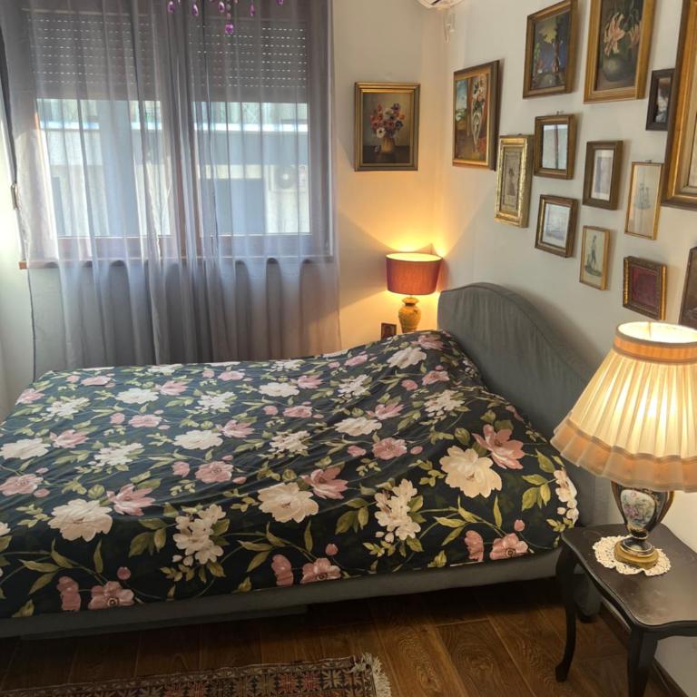 Vrnjacka Renesansa Promenada - Apartman sa 1 Spavaćom Sobom - 2
