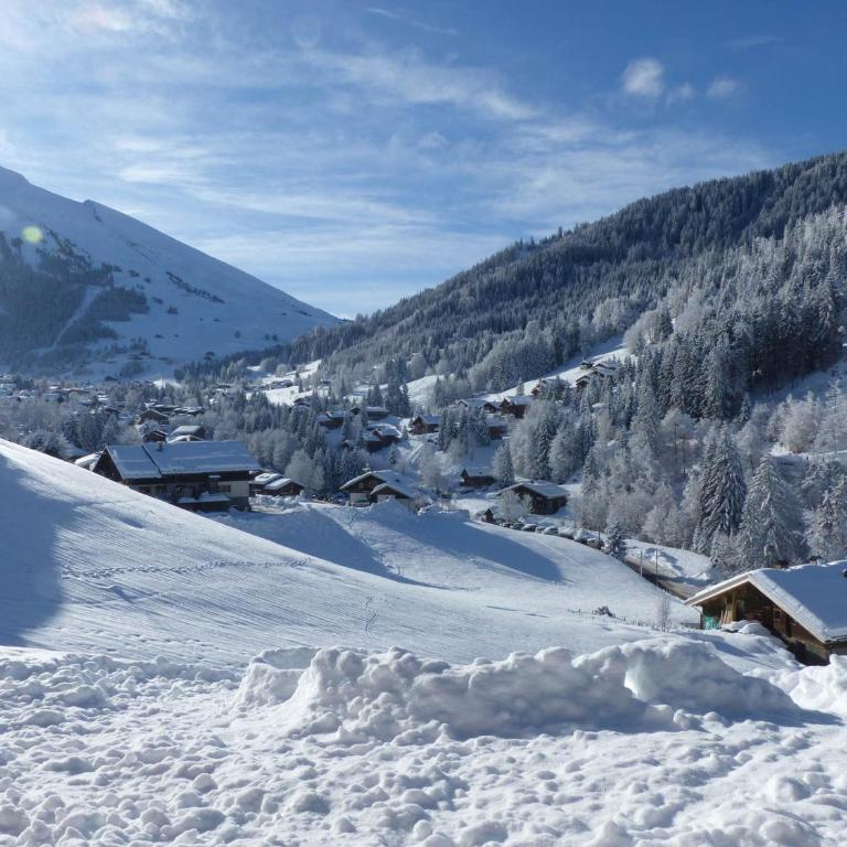 3 pièces, terrasse, parking à La Clusaz - FR-1-437-59 - Apartment (6 Adults) - 14