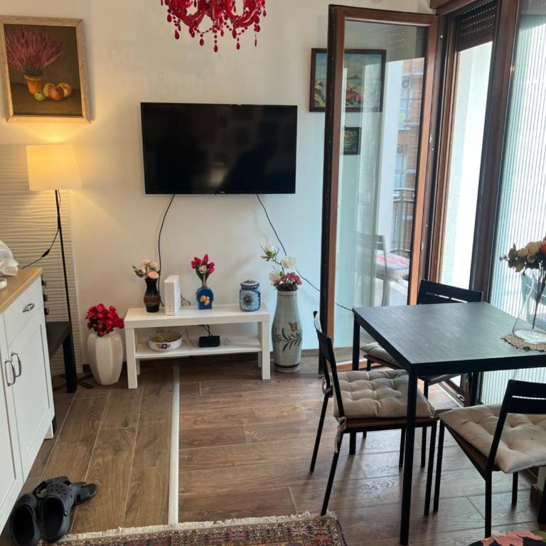 Vrnjacka Renesansa Promenada - Apartman sa 1 Spavaćom Sobom - 5