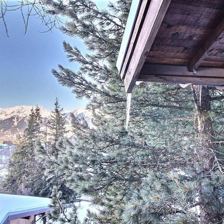 Chalet pour 15 pers., sauna & jacuzzi à Plagne 1800 - FR-1-455-159 - Chalé (15 adultos) - 15