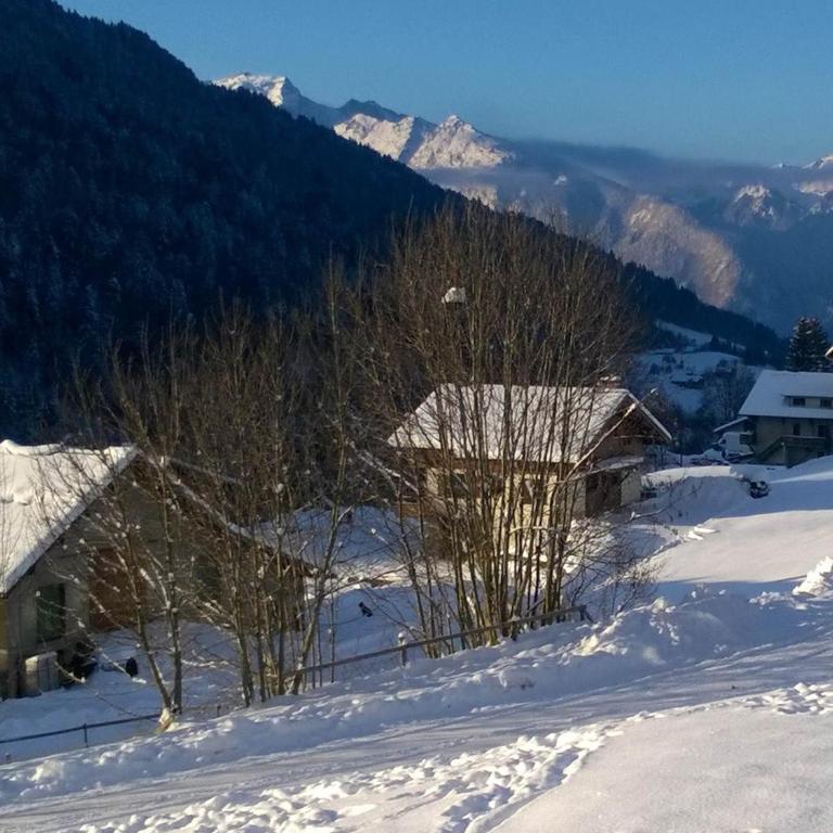 Appartement cosy 3 pièces avec balcon et garage, à proximité des pistes et commerces - FR-1-459-164 - Apartment (6 Erwachsene) - 10