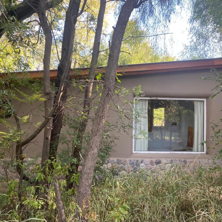 Casa Natu- Naturaleza - One-Bedroom House - 9