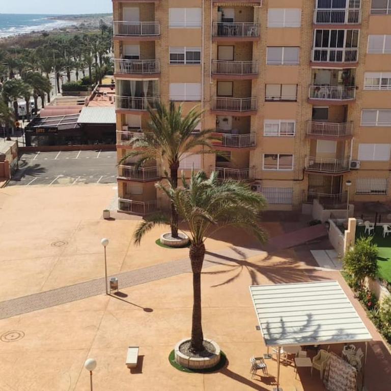 Seafront Apt in Arenales Beach, Pool & Parking - One-Bedroom Apartment - 29