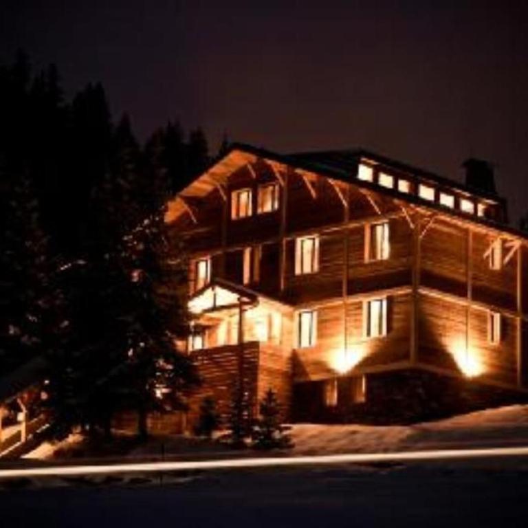Chalet 12 pers. à La Plagne avec sauna, jacuzzi et animaux admis - FR-1-455-238 - Chalet - 18