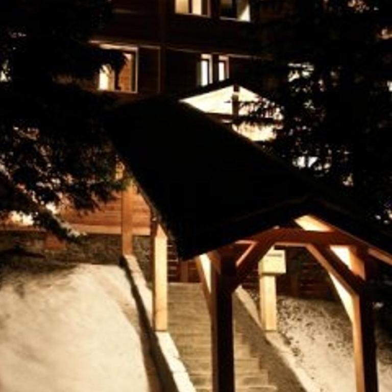 Chalet 12 pers. à La Plagne avec sauna, jacuzzi et animaux admis - FR-1-455-238 - Chalet - 19