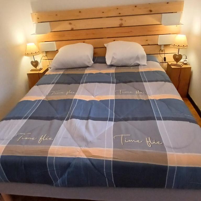 Appar T2 3 lits vue montagne terrasse vielle aure - Appartement 2 Chambres - 5
