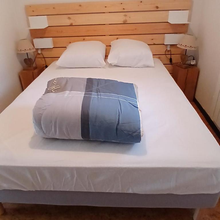 Appar T2 3 lits vue montagne terrasse vielle aure - Appartement 2 Chambres - 13