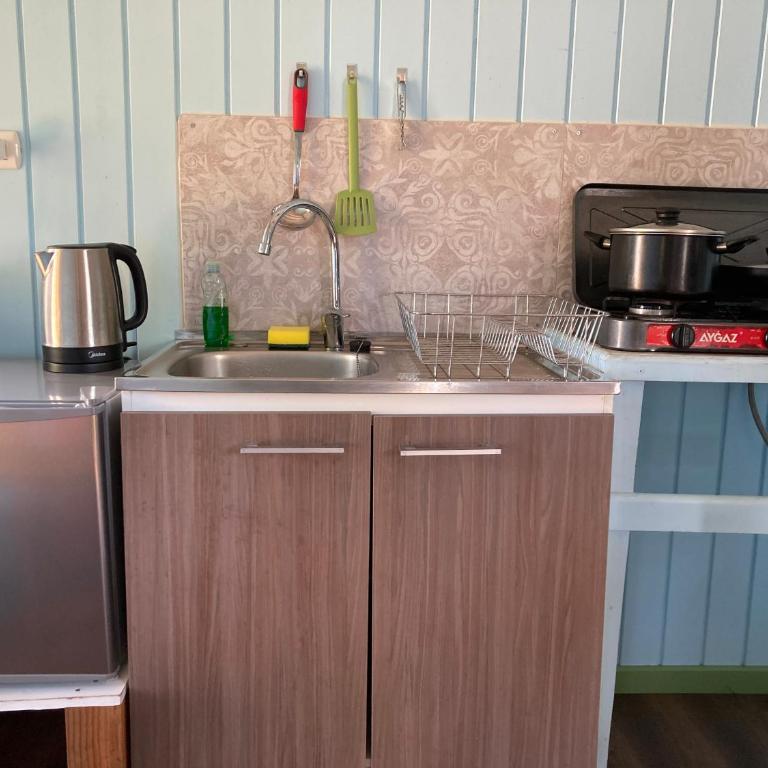 Los Canelos de Cayumapu - One-Bedroom House - 6