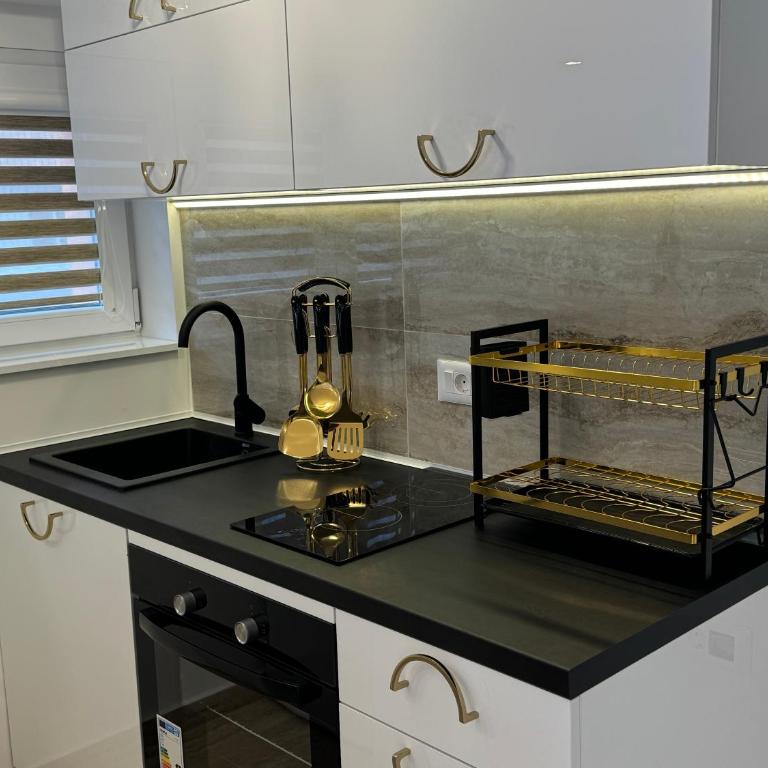 Apartman City Zeleznik - Apartman sa 1 Spavaćom Sobom - 2