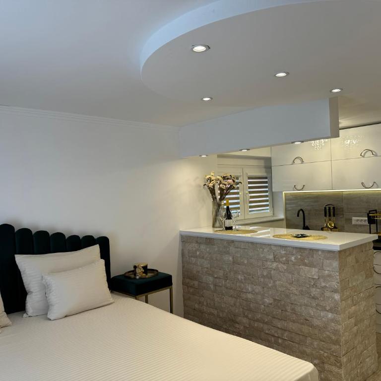 Apartman City Zeleznik - Apartman sa 1 Spavaćom Sobom - 7