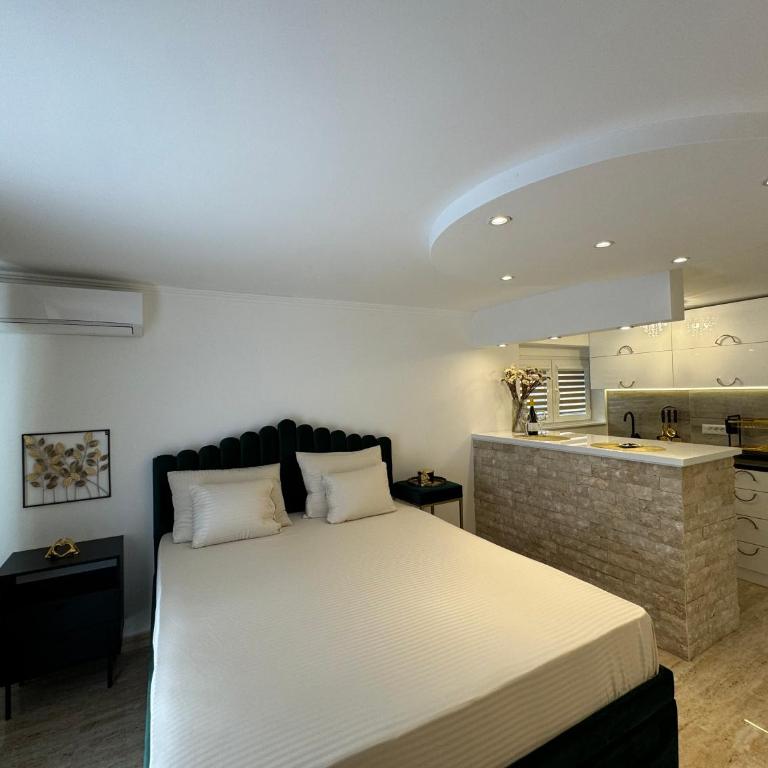 Apartman City Zeleznik - Apartman sa 1 Spavaćom Sobom - 14