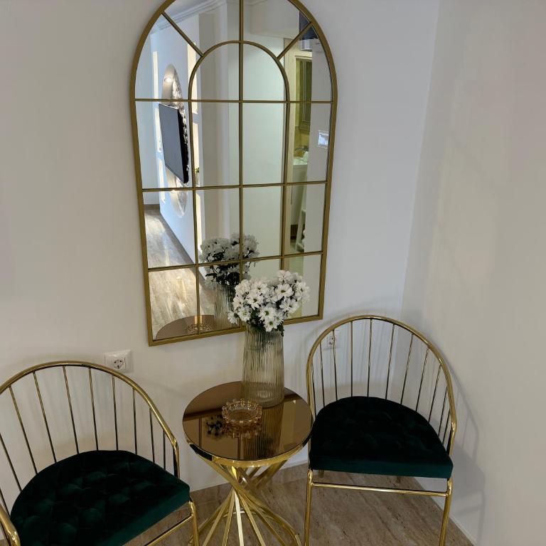 Apartman City Zeleznik - Apartman sa 1 Spavaćom Sobom - 9