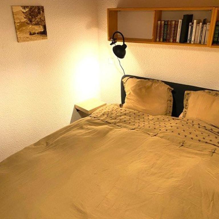 Appartement confortable 4 pers., proche pistes et commerces, parking, balcon Sud-Ouest, animaux admis - One-Bedroom Apartment - 9
