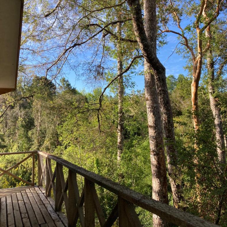 Los Canelos de Cayumapu - One-Bedroom House - 2