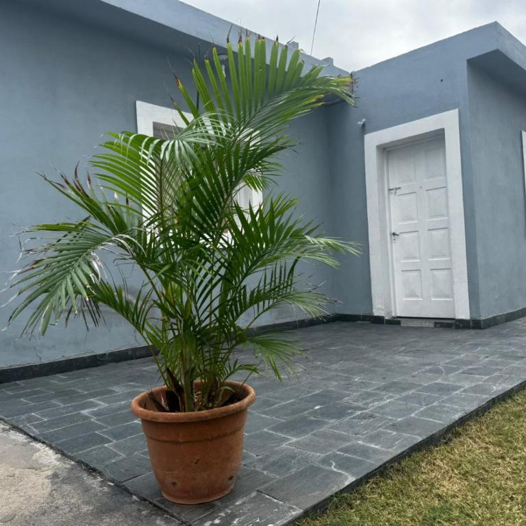 Cordon del Velazco1 - One-Bedroom Standard Apartment - 5