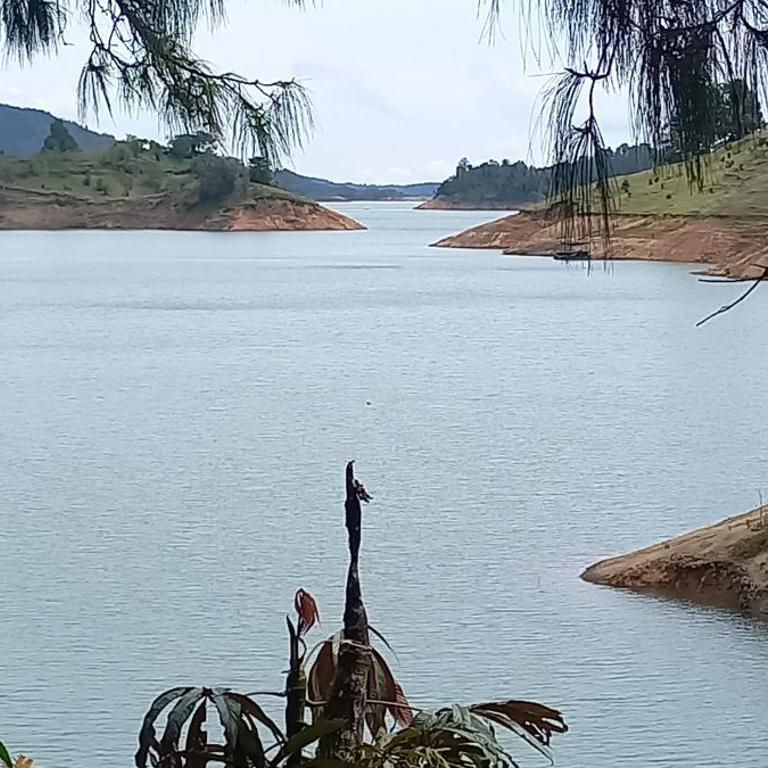 Chalet Glamping Eco Foret - One-Bedroom Chalet - 24