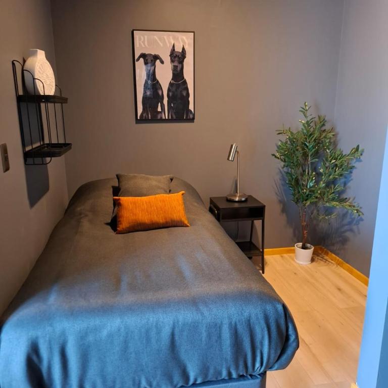 Hotel Boutique 501 - Habitación Doble Superior - 8