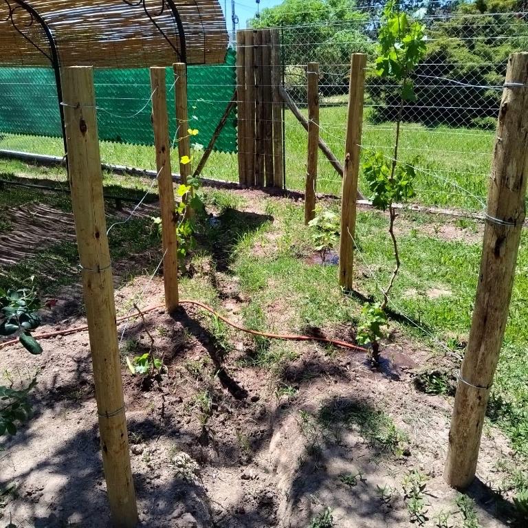 Antigua casa de bodega pax 4 - Apartamento de 2 dormitorios - 22
