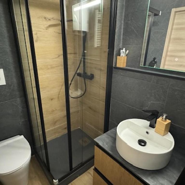 Studio charmant proche pistes et commerces avec parking, balcon, animaux acceptés - FR-1-445-210 - Estudio - 4