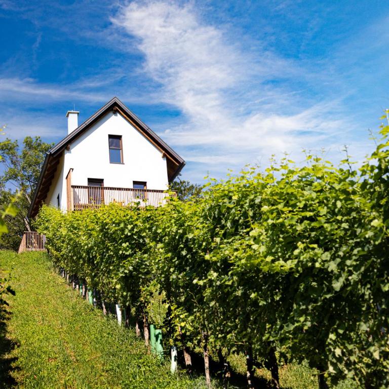 Kellerstöckel Steinbach - Haus mit 2 Schlafzimmern - 1