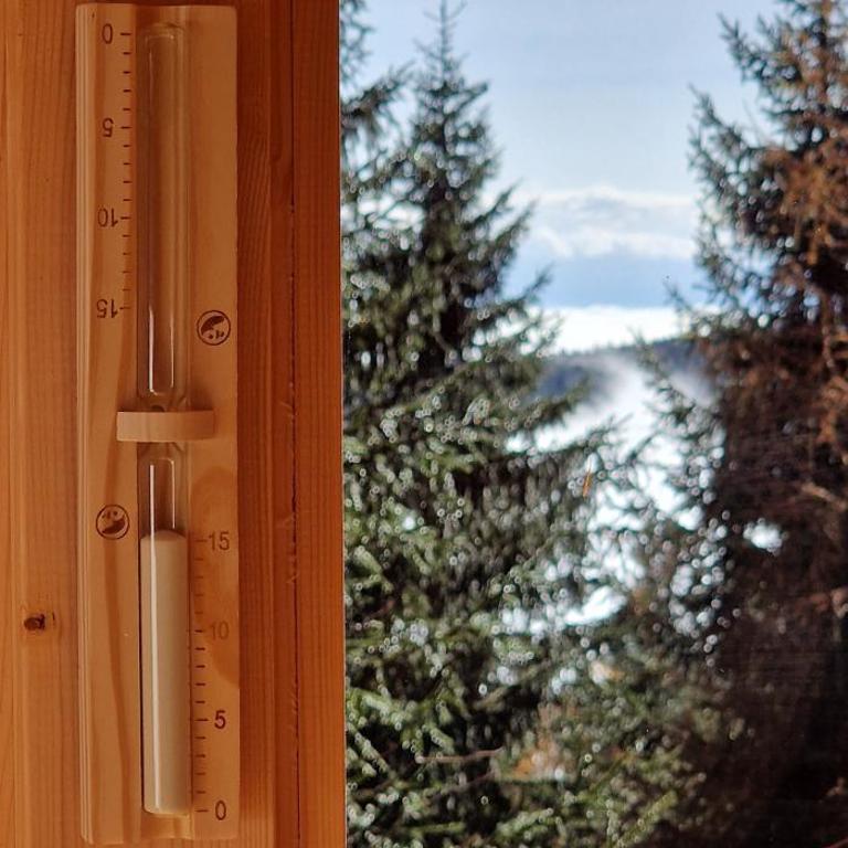 Chalet Alpl - Ferienwohnung Waldblick mit Sauna, Kamin & Whirlwanne - Apartment mit 2 Schlafzimmern - 11