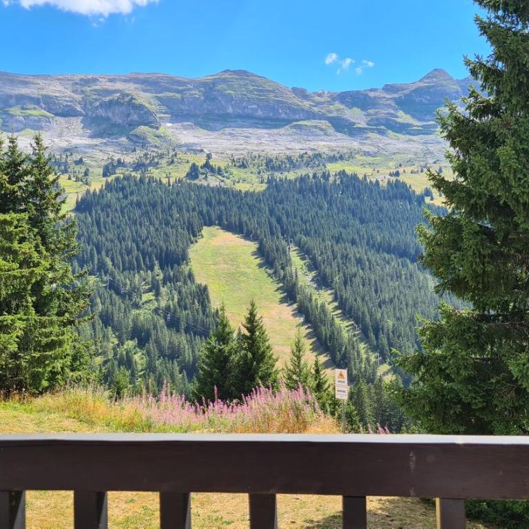 Appartement Flaine Forêt - Appartement 1 Chambre Confort - Orienté Sud - 9