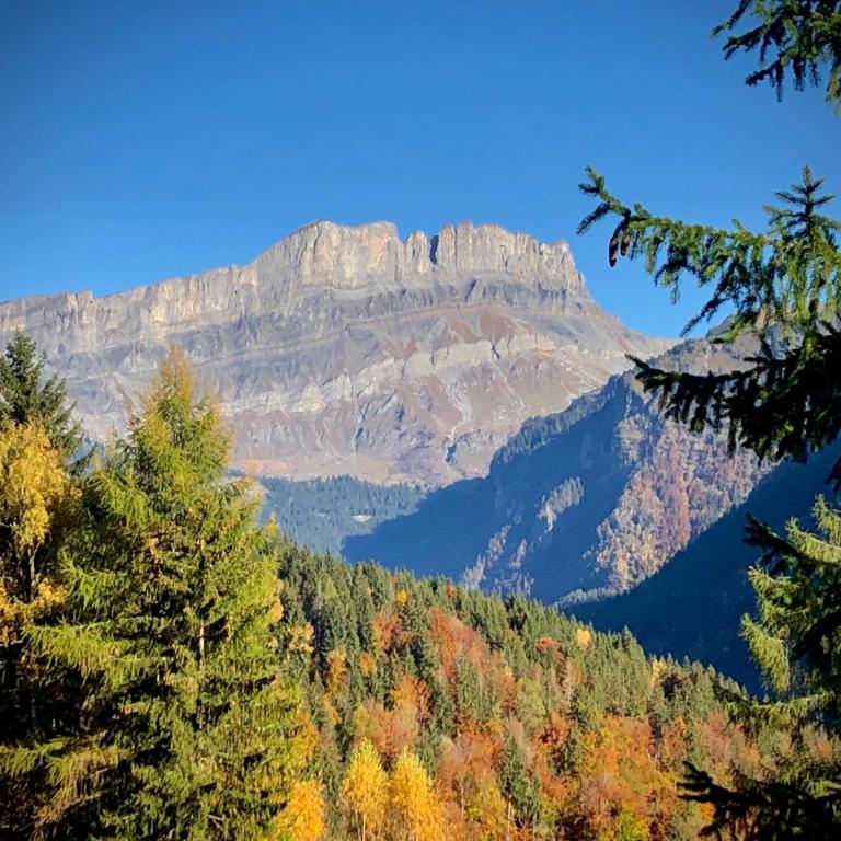 Mountain Cabin - vue montagne - 4 personnes - Chalet - 10