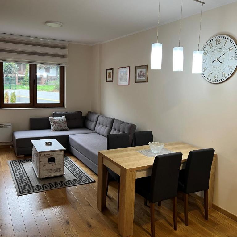 Zlatibor Relax & Spa Apartman - Apartman sa 1 Spavaćom Sobom - 8