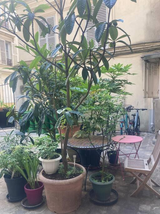 Appart charmant à Montmartre - Appartement 1 Chambre - 1