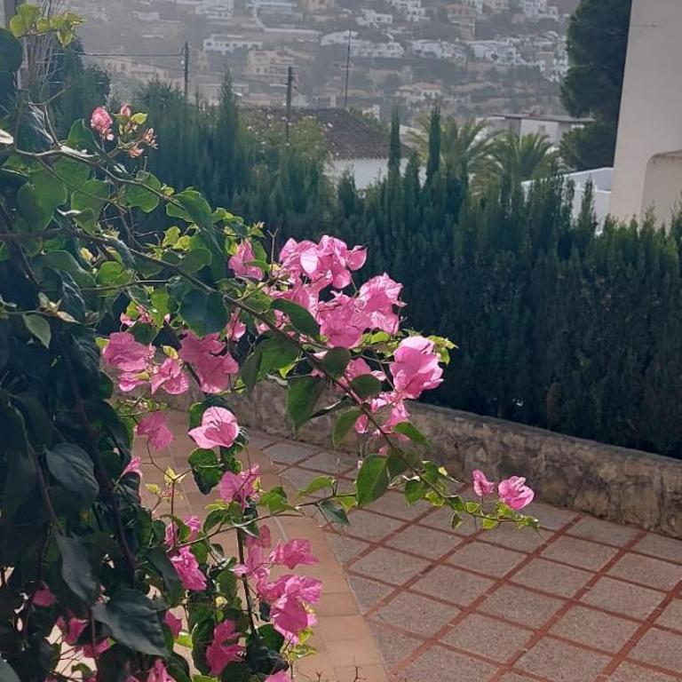 Apartamento en Moraira con piscina 100 m de la playa - Two-Bedroom Apartment - 2