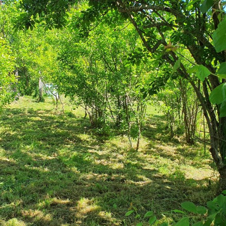 Cabaña campestre a 7min de Osorno - Casa de 2 dormitorios - 9