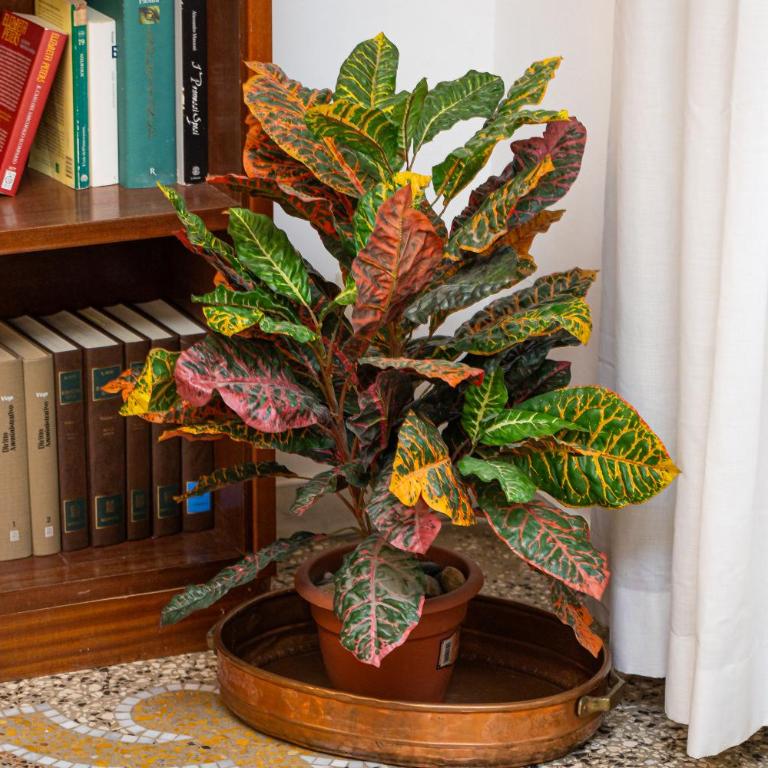 Clodia 5 by Rental in Rome - Apartment mit 2 Schlafzimmern - 9