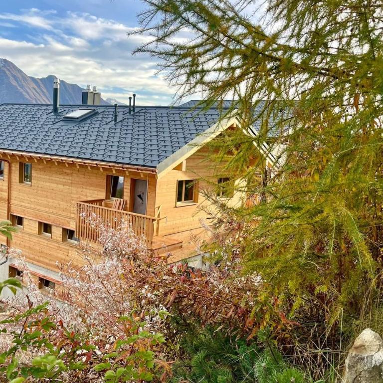 Chalet Onno Henny - Apartment - 47