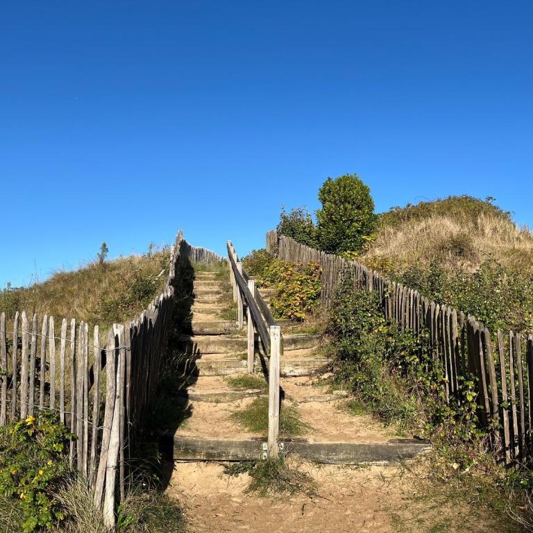 Appt cosy Cabourg 2 min plage 5 min thalasso - One-Bedroom Apartment - 10