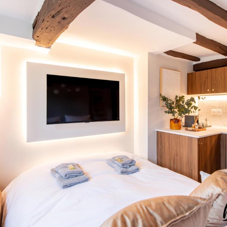SUPER CENTRAL Designer One-Bedroom - Marais - FREE Parking - Appartement 1 Chambre - 22