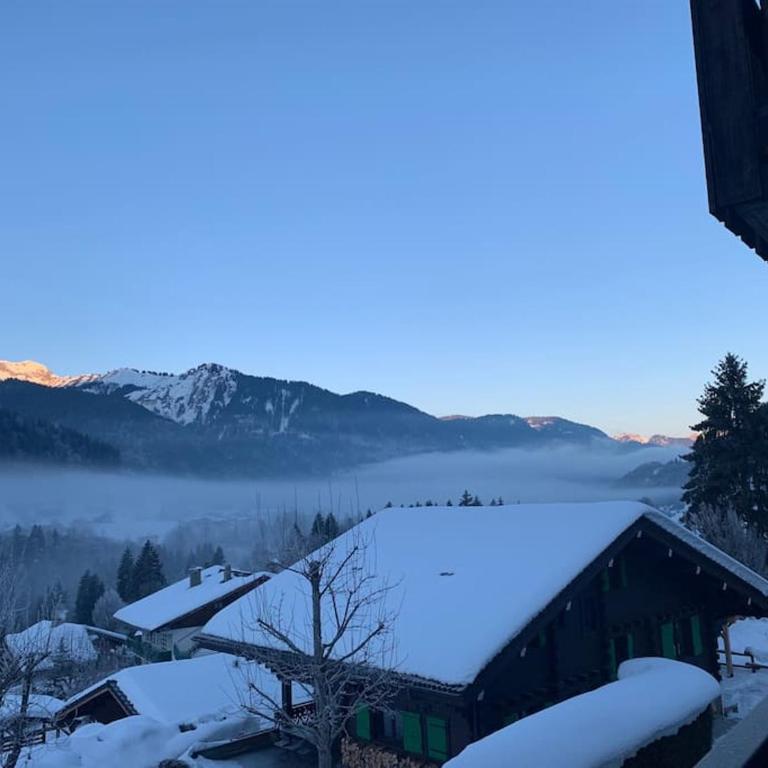 Morzine apartment, perfect ski and summer base for 8 - Appartement avec Vue sur la Montagne - 12
