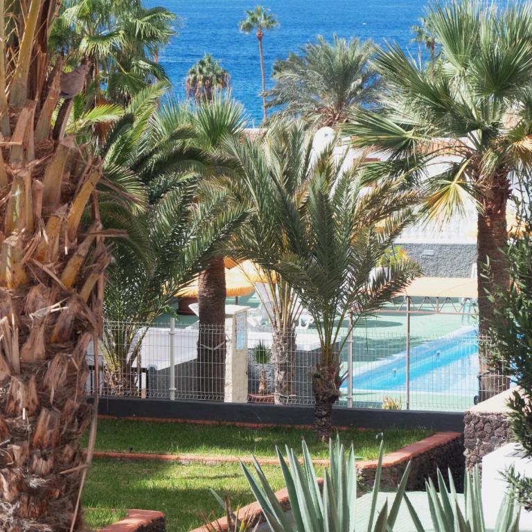 Moderno Estudio Vista Mar Playa de Las Americas - Apartamento de 1 dormitorio - 29