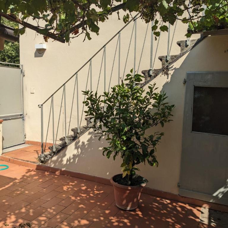 Appartamento San Felice - Appartamento con 1 Camera da Letto - 21
