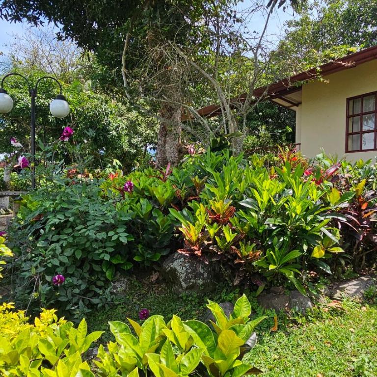 Refugio Natural Lejanías - Villa - 3
