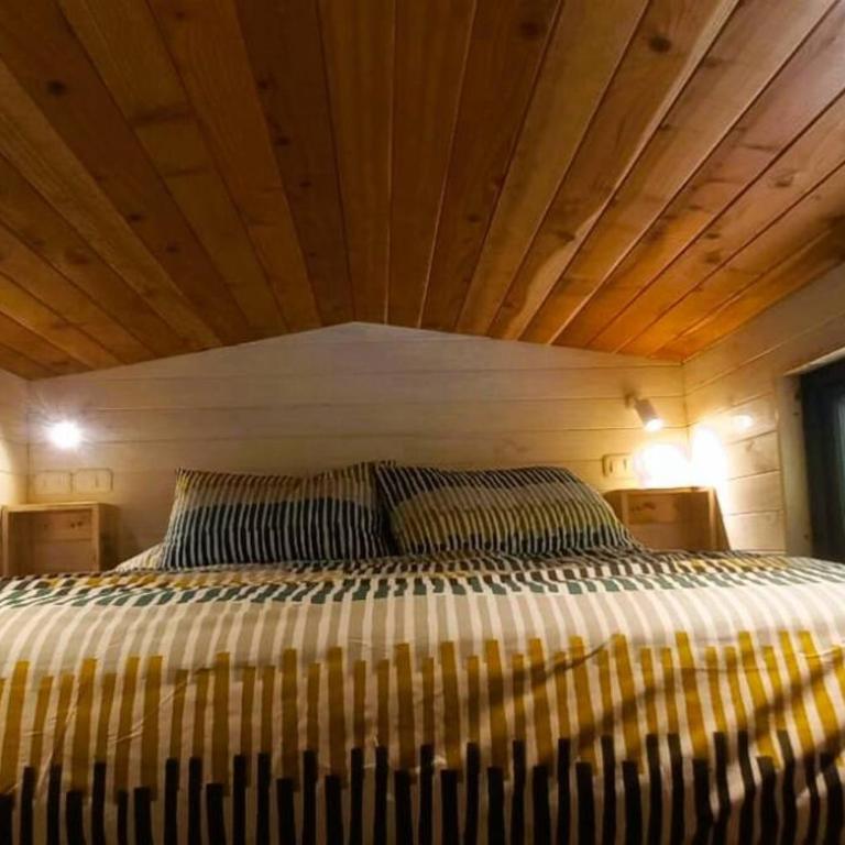 Tiny House nueva en el bosque a 6 min de Pucón - Casa con 1 dormitorio - 2