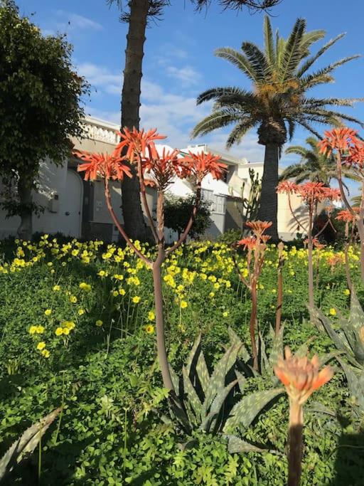 La Margarita Beach Apartment, Club Tropicana - One-Bedroom Apartment - 35